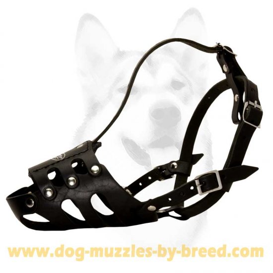 Leather dog muzzles for biting hotsell