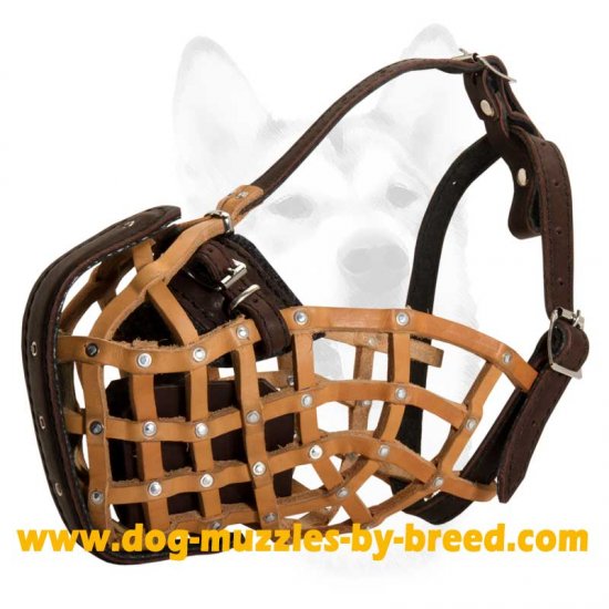 Fantastic Training Basket like Muzzle M1 1060 Police Basket Dog Muzzle Dog Muzzles by Breeds Wire Basket Dog Muzzle Leather Dog Muzzles Cage Muzzles Dog leashes