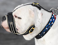 Muzzle for American Bulldog and English Bulldog – CollarDirect