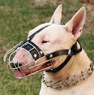 English Bull Terrier Wire Muzzle-Cage Basket Dog Muzzle English Bull Terrier Wire Muzzle-Cage Basket Dog Muzzle