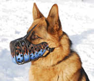 german shepherd mouth guard