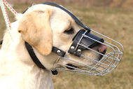 Labrador Retriever Wire Muzzle-Cage Basket Dog Muzzle Labrador Retriever Wire Muzzle-Cage Basket Dog Muzzle