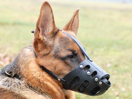 dog muzzle for german shepherd