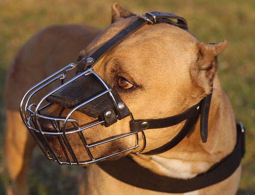 basket muzzle for dogs
