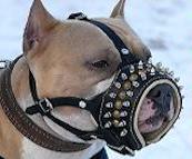 Best muzzle hotsell for pitbull dogs